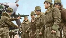 二战最新爆料,尘封档案揭示不为人知的战争真相