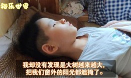 盲症在线观看,盲症患者的在线视觉体验之旅